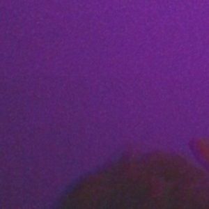 Meet your Posher, Ty